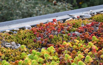 the cost of Paddockhill green roof installation