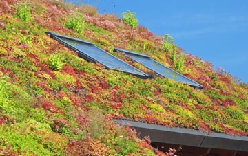 Paddockhill living roof systems