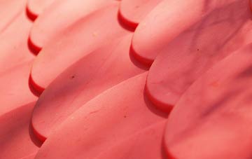 Paddockhill plastic roof costs