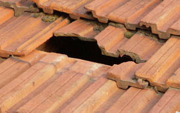 roof repair Paddockhill, Cheshire