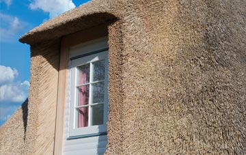 Paddockhill thatch roof disadvantages