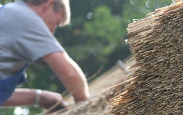 professional Paddockhill thatchers